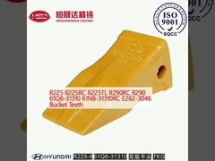 R225 R225RC R225TL R290RC R290 61Q6-31310 61N8-31310RC E262-3046 kova dişleri